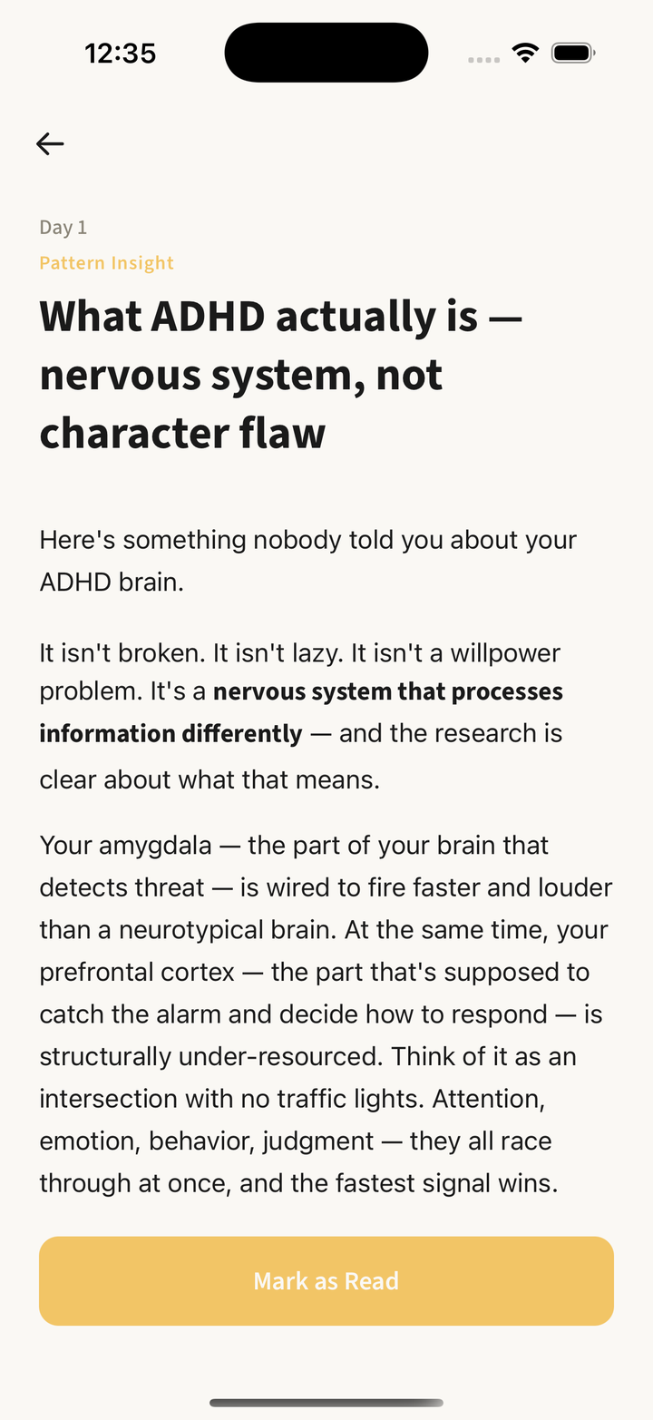 Pattern Insight reading screen explaining ADHD as a nervous system condition
